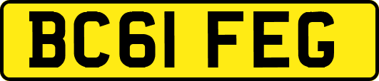 BC61FEG