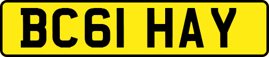 BC61HAY