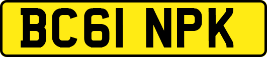 BC61NPK