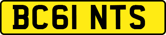 BC61NTS