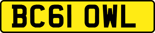 BC61OWL