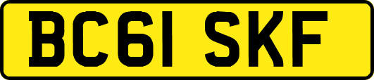 BC61SKF