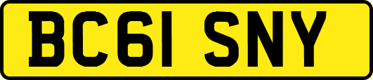 BC61SNY