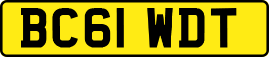 BC61WDT