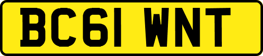 BC61WNT