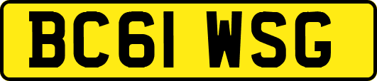 BC61WSG