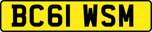 BC61WSM