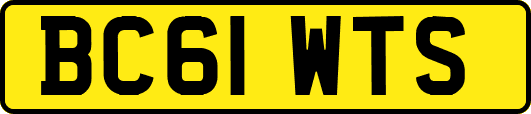 BC61WTS