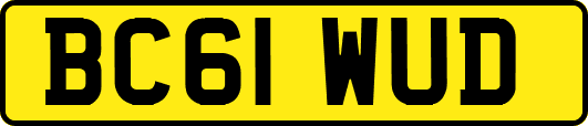 BC61WUD