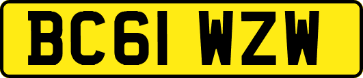 BC61WZW