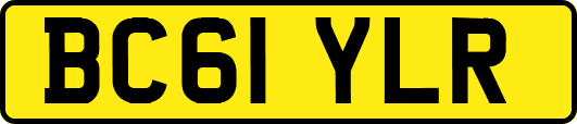 BC61YLR