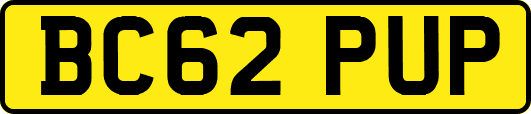 BC62PUP