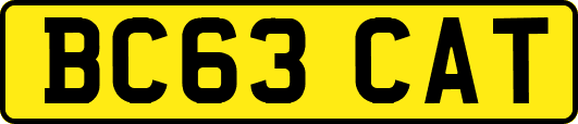 BC63CAT