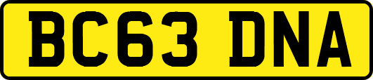 BC63DNA