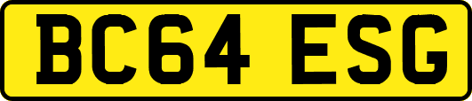 BC64ESG
