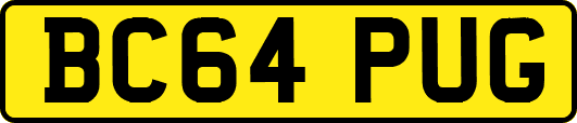 BC64PUG