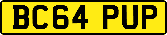 BC64PUP