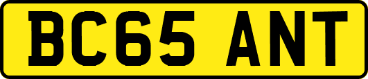 BC65ANT