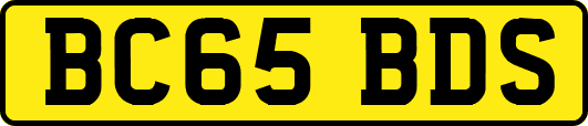 BC65BDS