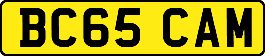 BC65CAM