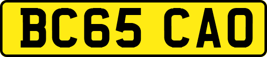 BC65CAO