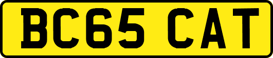 BC65CAT