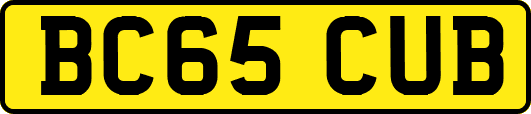 BC65CUB