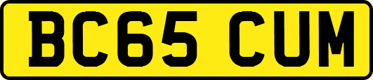 BC65CUM