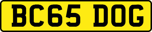 BC65DOG