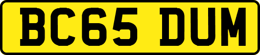 BC65DUM