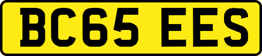 BC65EES