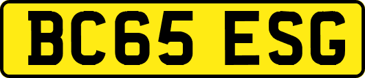 BC65ESG
