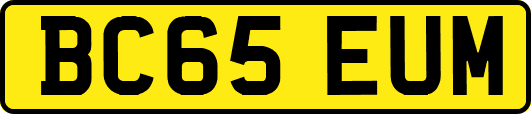 BC65EUM