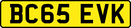 BC65EVK
