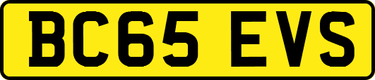 BC65EVS