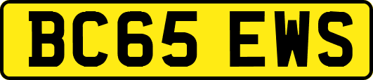 BC65EWS
