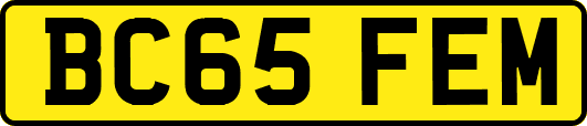 BC65FEM