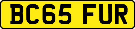 BC65FUR