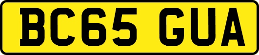 BC65GUA