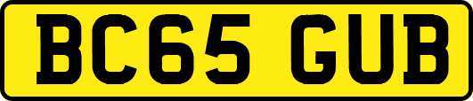 BC65GUB