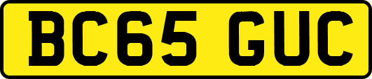 BC65GUC