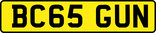 BC65GUN