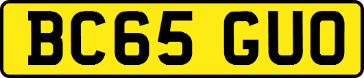 BC65GUO