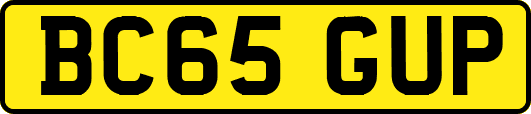 BC65GUP