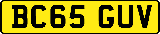 BC65GUV