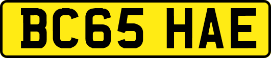 BC65HAE