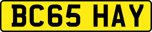 BC65HAY