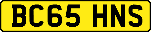BC65HNS