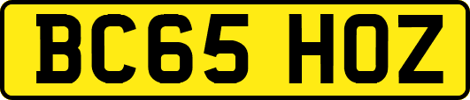 BC65HOZ