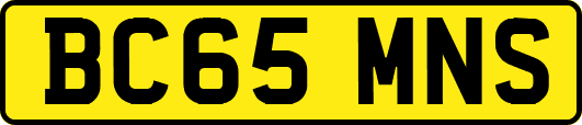 BC65MNS